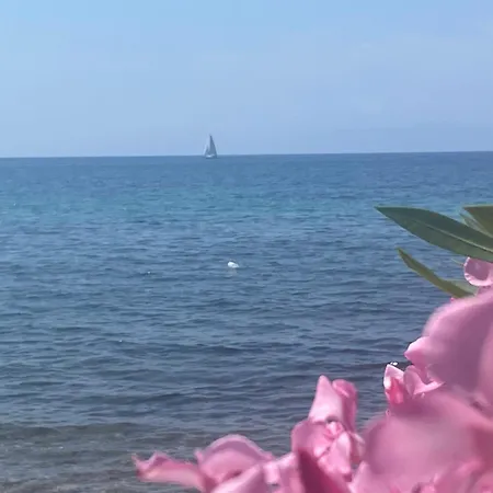 Blue Sea Apartament *